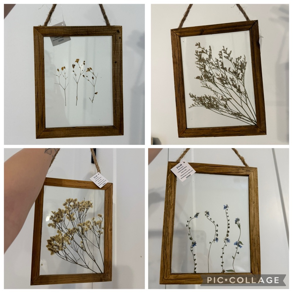 Wood Framed Pressed Flower Hanging Wall Decor - Set of 4